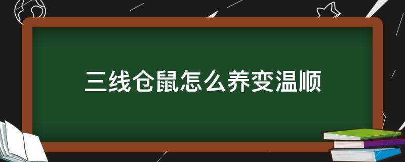 三线仓鼠怎么养变温顺 三线仓鼠应该怎么养