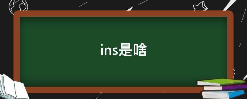 ins是啥（ins是啥社交软件）