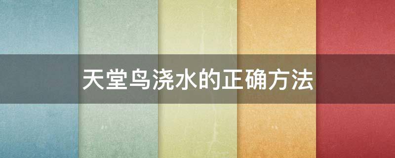 天堂鸟浇水的正确方法 天堂鸟浇水的正确方法 知乎