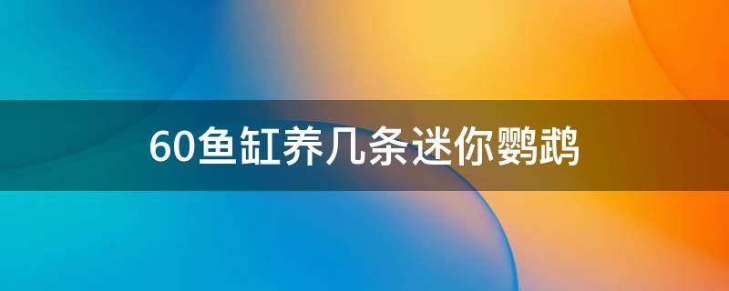 60鱼缸养几条迷你鹦鹉 30的缸子养5条迷你鹦鹉