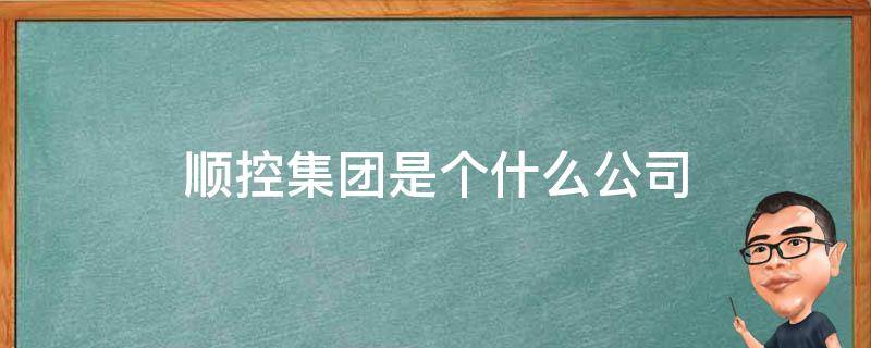 顺控集团是个什么公司（顺控发展公司是做什么的）