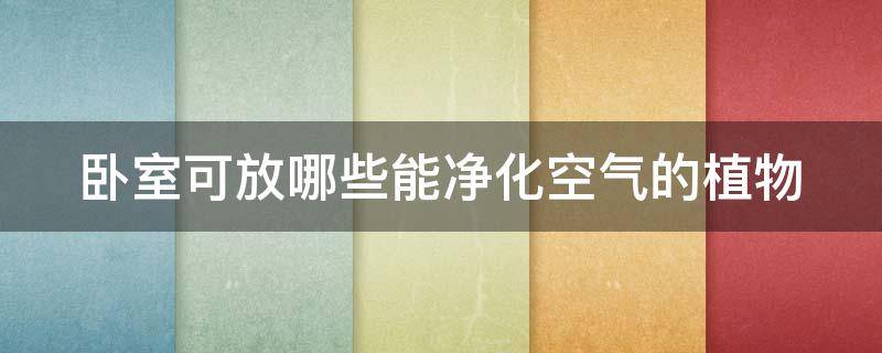 卧室可放哪些能净化空气的植物 卧室可放哪些能净化空气的植物呢