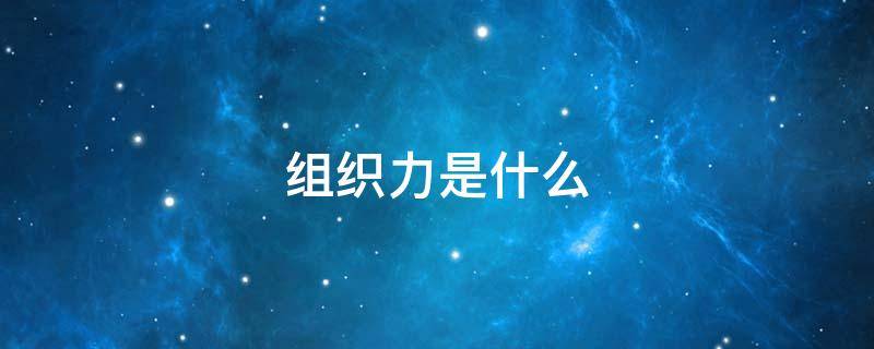 组织力是什么（组织力百科）