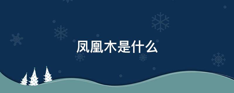 凤凰木是什么 凤凰木是什么科