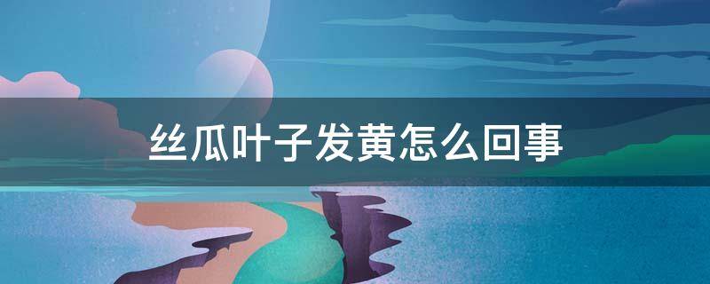 丝瓜叶子发黄怎么回事 丝瓜叶子有黄点什么病