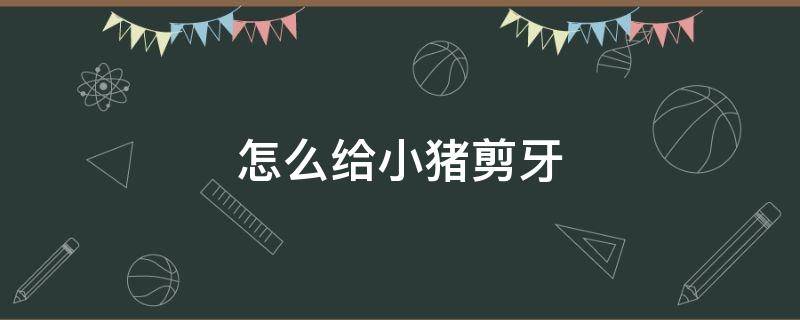 怎么给小猪剪牙 给小猪剪牙的剪子