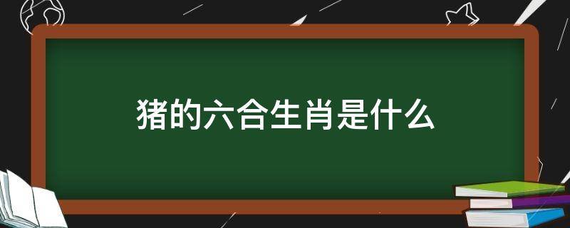 猪的六合生肖是什么