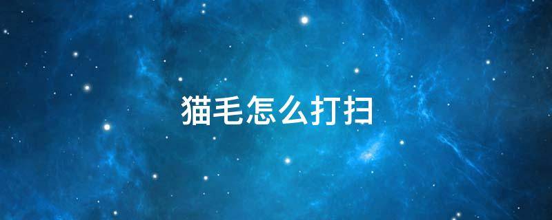 猫毛怎么打扫（如何打扫猫毛）