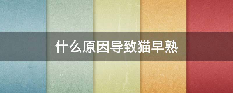 什么原因导致猫早熟 猫猫会早熟吗