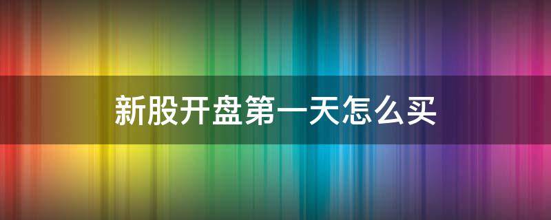 新股开盘第一天怎么买（新股票开盘第一天怎么买进）