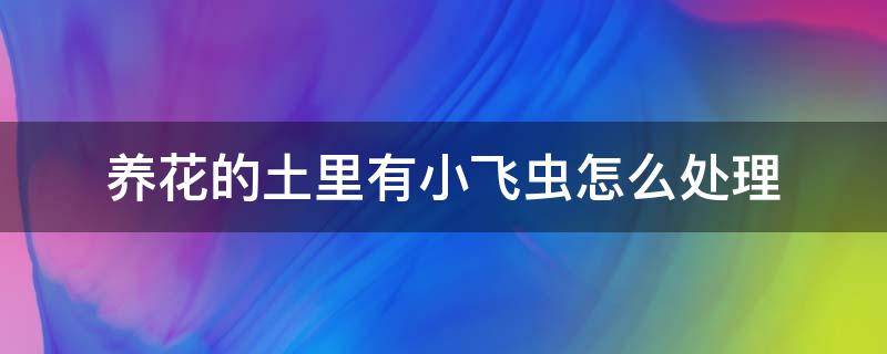 养花的土里有小飞虫怎么处理（花土上生小飞虫怎么处理）