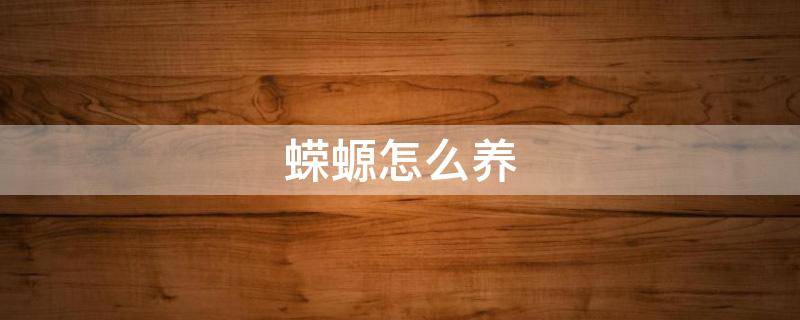 蝾螈怎么养 蝾螈怎么养活