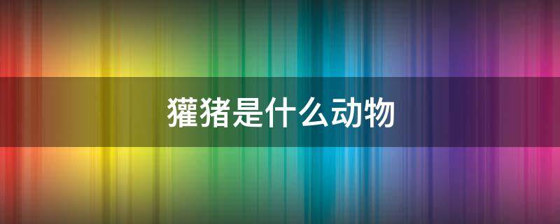 獾猪是什么动物 什么叫獾猪