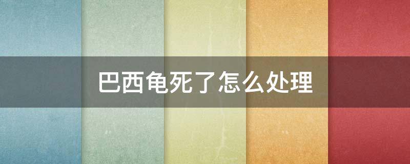 巴西龟死了怎么处理