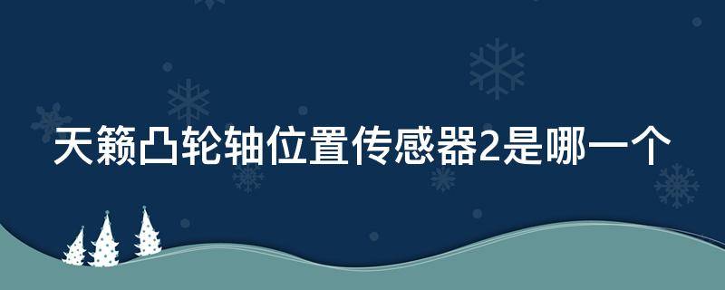 天籁凸轮轴位置传感器2是哪一个（04款天籁凸轮轴传感器故障）