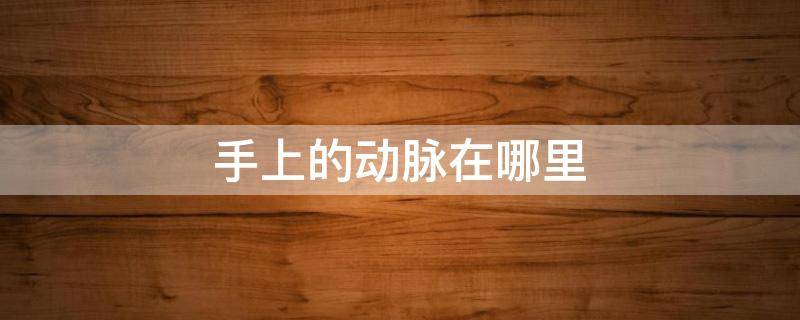 手上的动脉在哪里