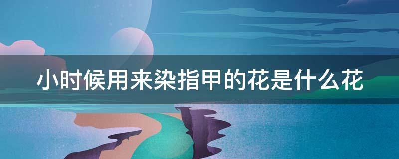 小时候用来染指甲的花是什么花 小时候用来染指甲的花是什么花图片