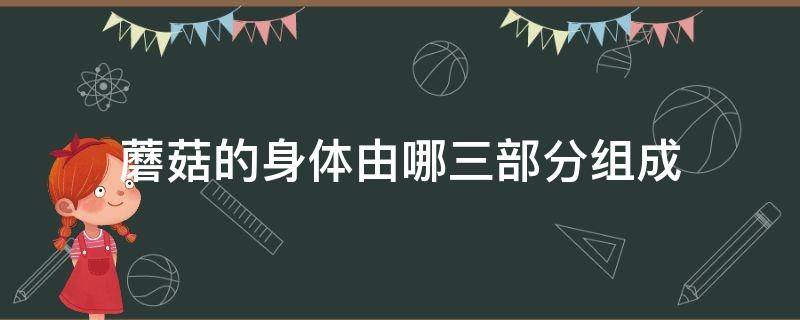 蘑菇的身体由哪三部分组成（蘑菇的身体由什么什么什么什么组成）
