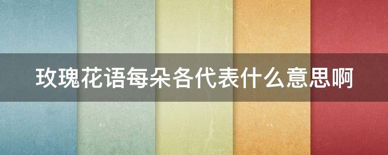 玫瑰花语每朵各代表什么意思啊（玫瑰花每朵代表的意思）