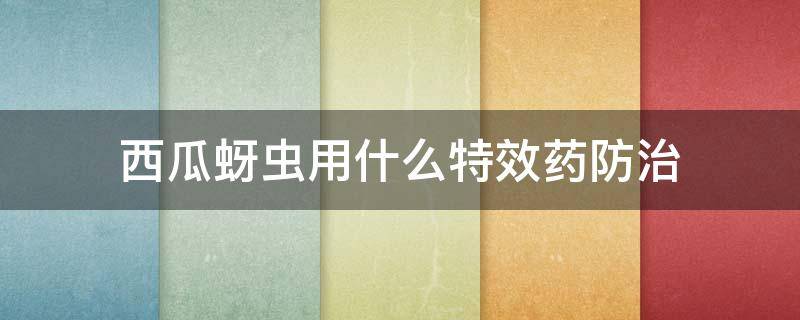 西瓜蚜虫用什么特效药防治（西瓜蚜虫用什么药最有效）