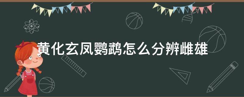 黄化玄凤鹦鹉怎么分辨雌雄 玄凤鹦鹉如何辨别雌雄