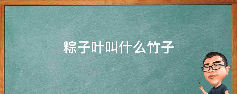 粽子叶叫什么竹子（粽子的叶子是竹子的叶子吗）