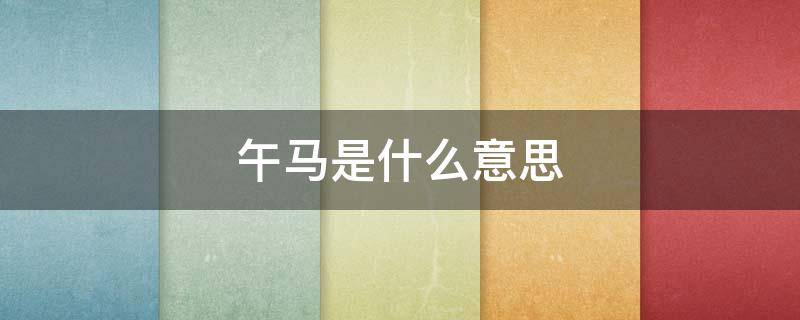 午马是什么意思 冲壬午马是什么意思