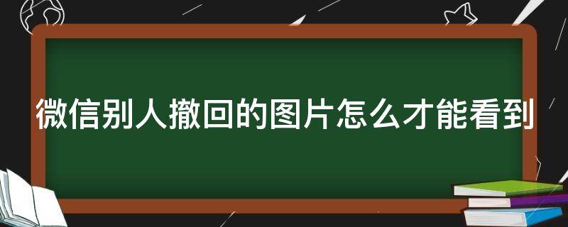 微信别人撤回的图片怎么才能看到（微信别人撤回的图片怎么才能看到苹果）