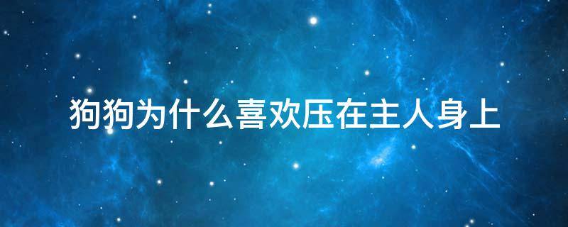 狗狗为什么喜欢压在主人身上 狗狗喜欢压在我身上