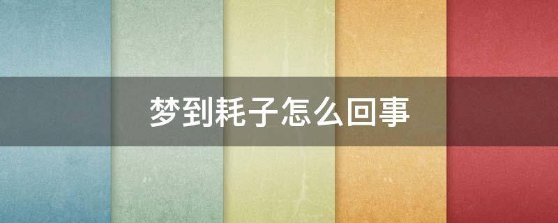 梦到耗子怎么回事 梦见耗子怎么办