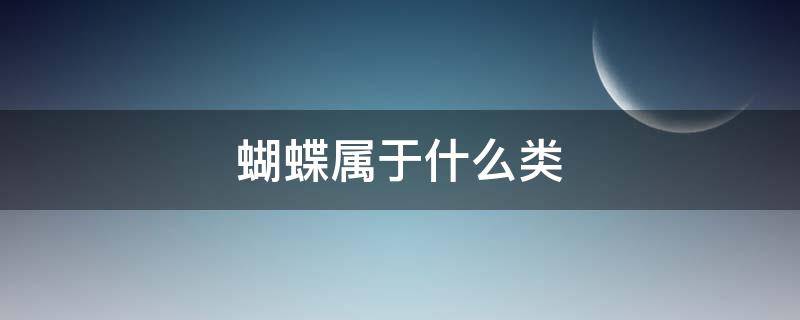 蝴蝶属于什么类 青蛙和蝴蝶属于什么类