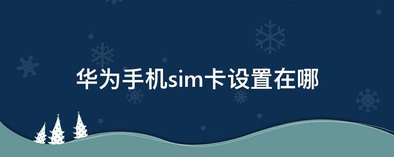 华为手机sim卡设置在哪（华为手机的sim卡设置在哪里面）