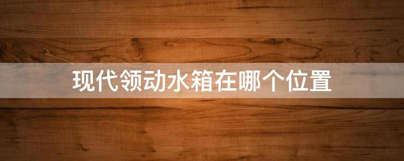 现代领动水箱在哪个位置（现代领动水箱加什么水）
