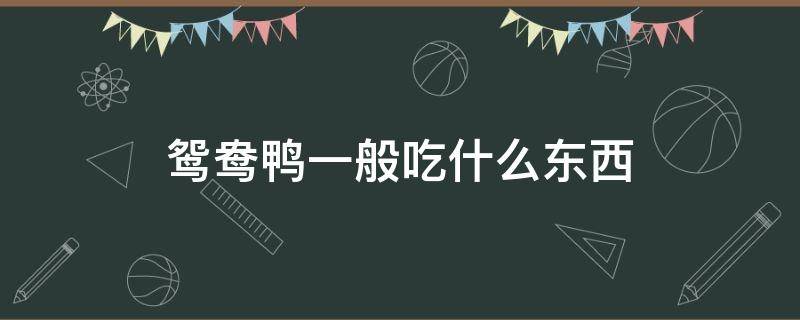 鸳鸯鸭一般吃什么东西 鸳鸯鸭吃了有什么好处