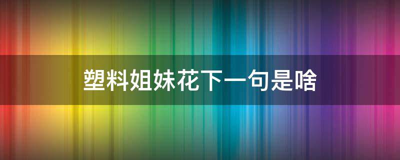 塑料姐妹花下一句是啥（塑料姐妹花的下一句）