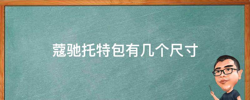 蔻驰托特包有几个尺寸 蔻驰托特包里面的小包