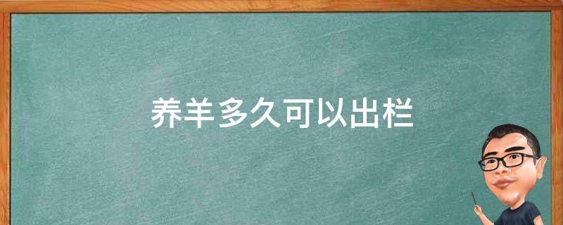 养羊多久可以出栏 圈养羊几个月可以出栏