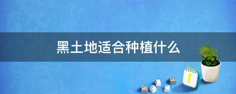 黑土地适合种植什么 黑土地适合种植什么经济作物
