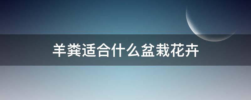 羊粪适合什么盆栽花卉（羊粪不适合什么盆栽花卉）