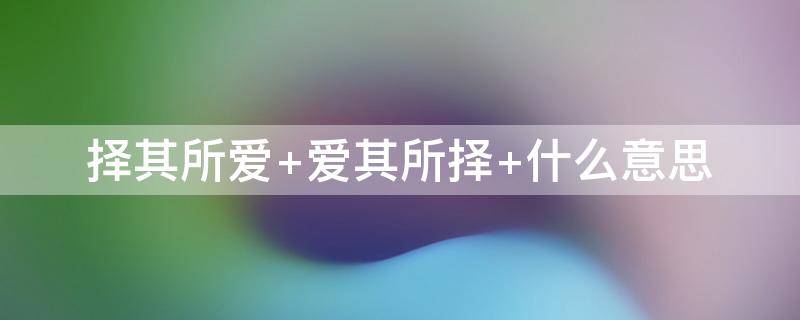 择其所爱（择其所爱和爱其所择的意思）