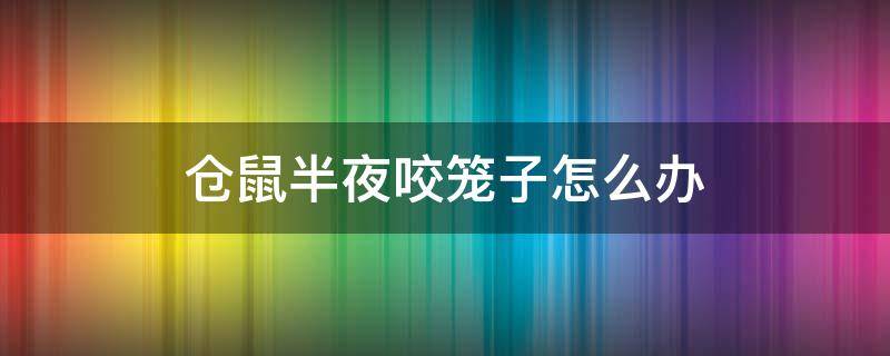 仓鼠半夜咬笼子怎么办（仓鼠晚上不停的咬笼子）
