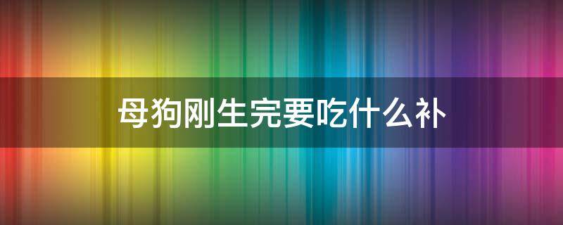 母狗刚生完要吃什么补 狗生完小狗吃什么补
