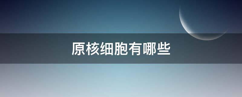 原核细胞有哪些（原核细胞有哪些细胞器）