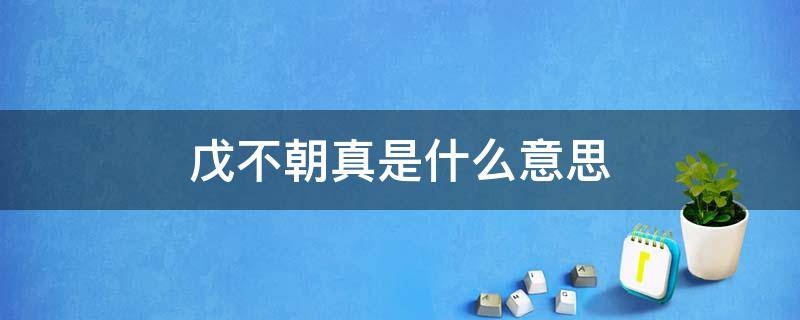 戊不朝真是什么意思（戊戌不朝真是什么意思）