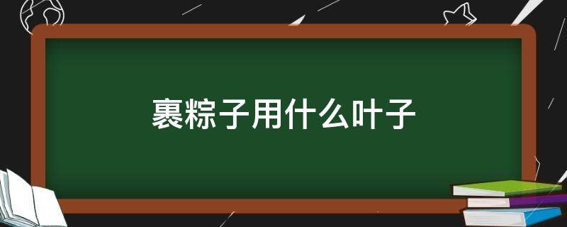 裹粽子用什么叶子（包粽子用什么粽叶）
