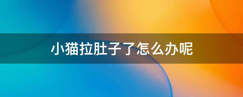 小猫拉肚子了怎么办呢（小猫拉肚子了怎么办呢?）