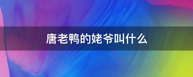 唐老鸭的姥爷叫什么（唐老鸭的妹妹叫什么）