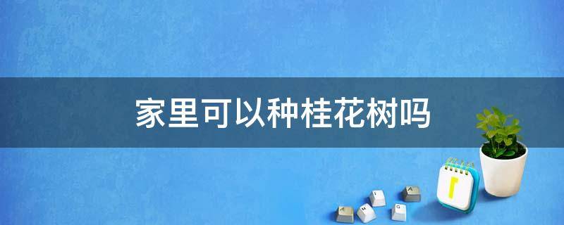 家里可以种桂花树吗（家里可栽桂花树吗）