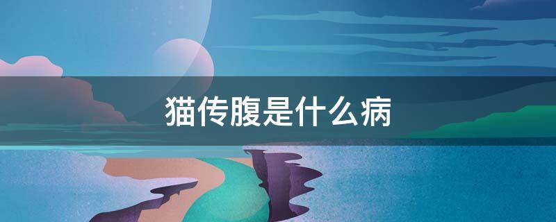 猫传腹是什么病（猫传腹是什么病能治愈吗）