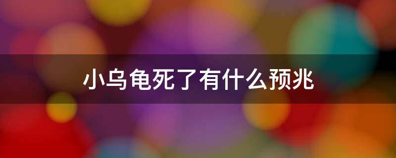 小乌龟死了有什么预兆（自家养的小乌龟死了有什么预兆）